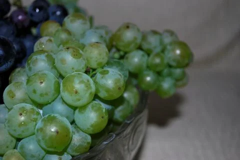 Grapes Stock Photos