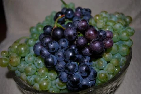 Grapes Foto stock