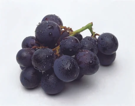 Grapes Stock Photos