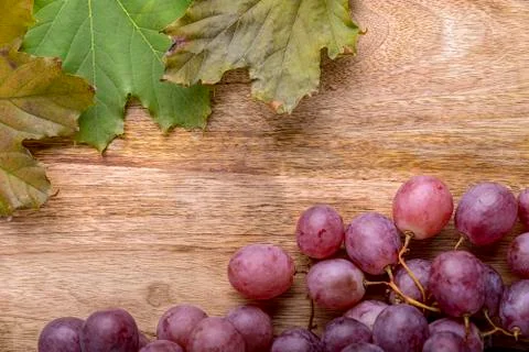 Grapes Fotos de archivo