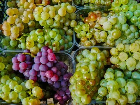Grapes Stock Photos