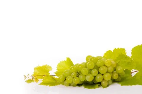 Grapes Stock Photos