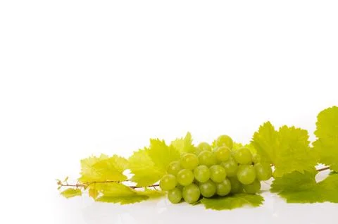 Grapes Stock Photos