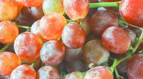 Grapes Stock Photos