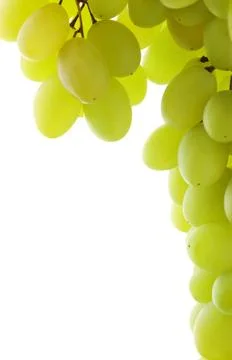 Grapes Stock Photos