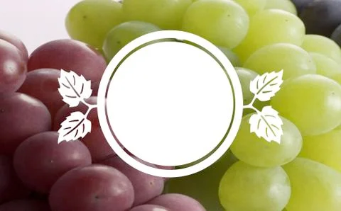 Grapes Stock Photos