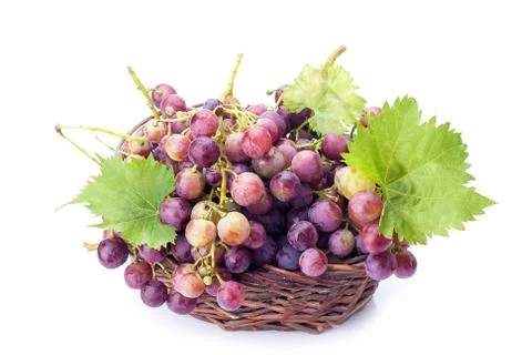 Grapes Stock Photos