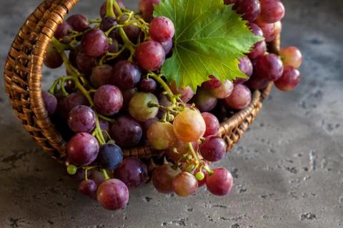 Grapes 스톡 사진