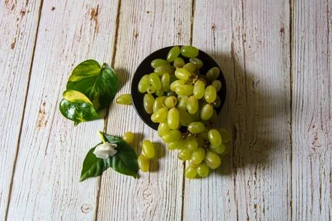 Grapes Stock Photos