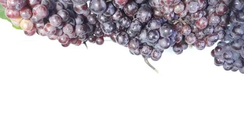 Grapes, Stock Photos