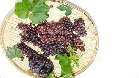 Grapes, Stock Photos
