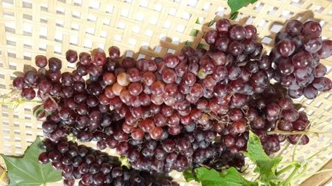Grapes, Stock Photos