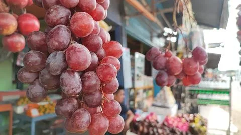 Grapes 스톡 사진