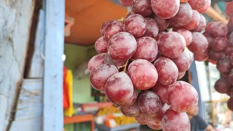 Grapes 스톡 사진