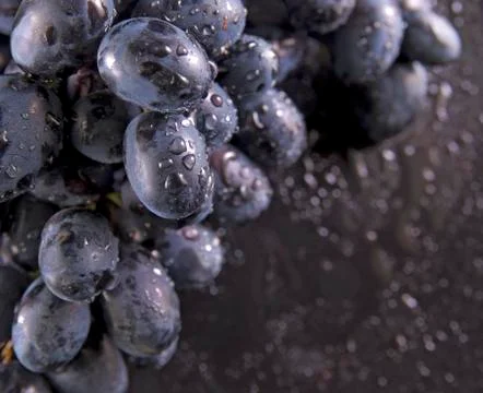 Grapes on the plate Stock Photos