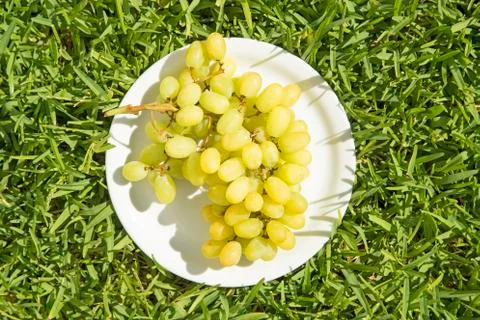 Grapes on a plate Фото