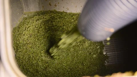 Grapes in the process of being transformed into wine Stock Footage 287822541