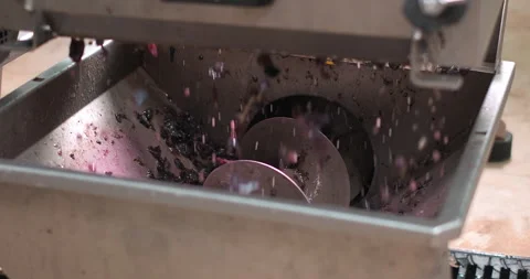 Grapes processing in the squeezing machine. Crushing grapes at a winery. Stock-Footage 250025544
