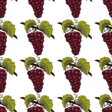 Grapes purple isolated pattern Stock Illustration