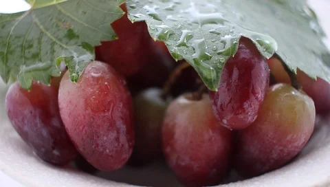 Grapes in the rain, close-up Video stock 98251977