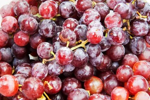 Grapes red seedless Stock Photos
