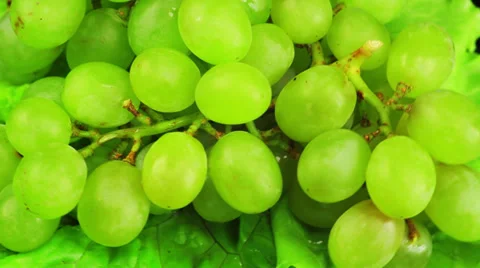 Grapes rotates (top) 스톡 동영상 38423334