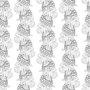 Grapes seamless pattern Stock Illustration