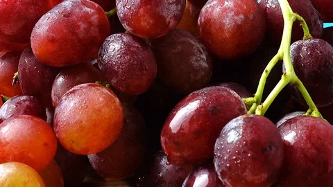 Grapes. Shooting in the movement. Stock-Footage 118674525