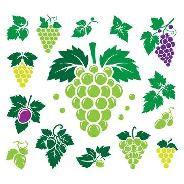 Grapes Silhouette Vector Illustration on White Background. Stock Illustration