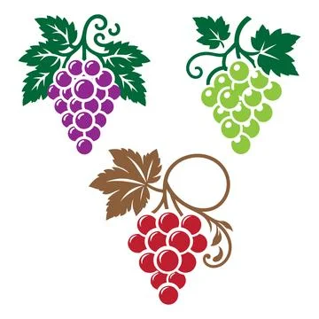 Grapes Silhouette Vector Illustration on White Background. Stock Illustration