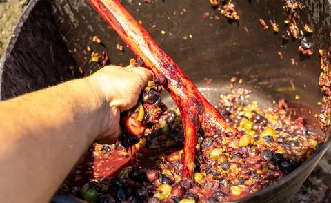 Grapes squeezed by hand Stock Photos