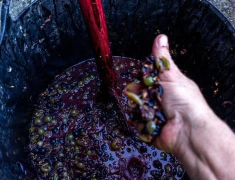 Grapes squeezed by hand Stock Photos