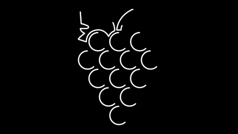 Grapes Stylized black line animation bunch Stock Footage 324768892