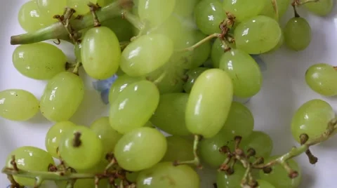 Grapes on the table Stock Footage 56081558