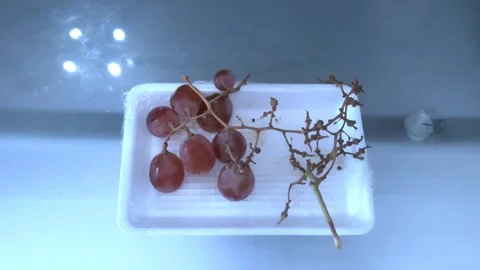 Grapes on Table Stock Footage 332465556