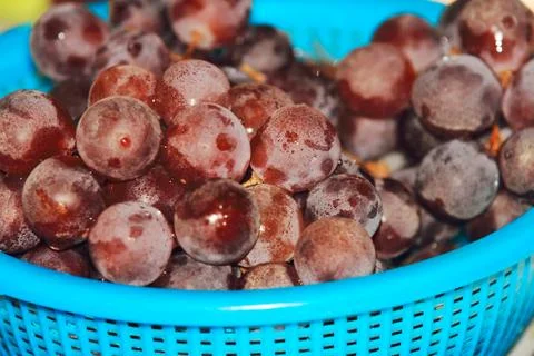 Grapes on the table Stock Photos