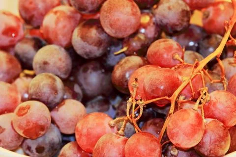 Grapes on the table Stock Photos