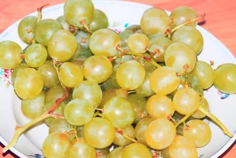 Grapes on the table Stock Photos