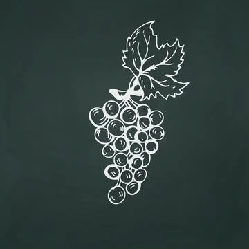 Grapes thin white lines on a textural dark background - Vector Illustration