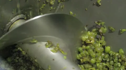 Grapes three 動画素材 12291256