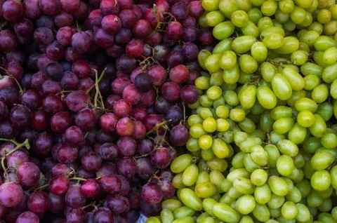 Grapes two-kinds Stock Photos