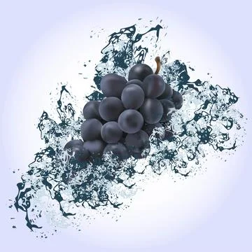 Grapes under splashes of water on a light background. Stock Illustration