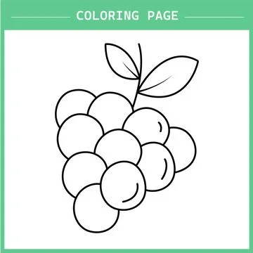 Grapes vector art Stock Illustration