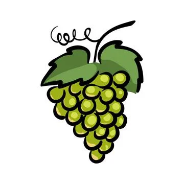 Grapes Vector drawing Stock Illustration