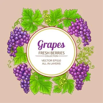 Grapes vector frame Illustrazione stock