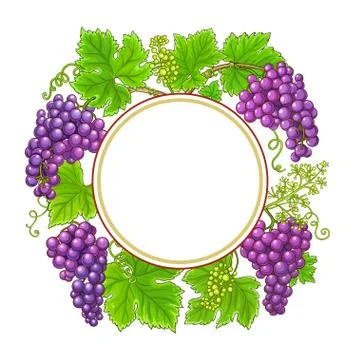 Grapes  vector frame Stock Illustration