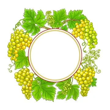 Grapes  vector frame Stock Illustration