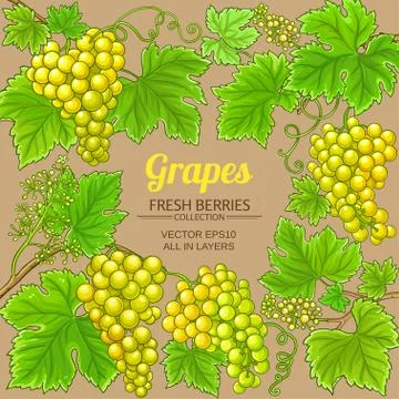 Grapes vector frame Stock Illustration