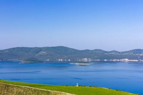 Grapes with the view Stock Photos