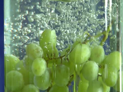 Grapes in water Stock Footage 22151428